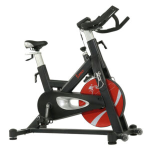 Sunny Health & Fitness SF-B1986 Evolution Pro II Magnetic Indoor Cycling Bike | Sturdy Home Spin Bike
