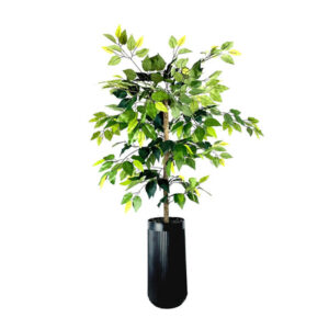 LCG Florals Ficus Tree (5 ft, Black Ribbed Planter) | Lush Indoor Greenery Accent