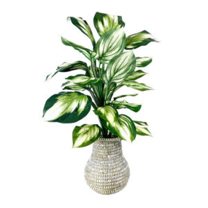 LCG Florals Hosta in Woven White Basket Urn (32-Inch) | Elegant Faux Greenery Decor